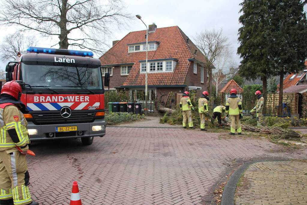Boom valt vanuit voortuin over straat