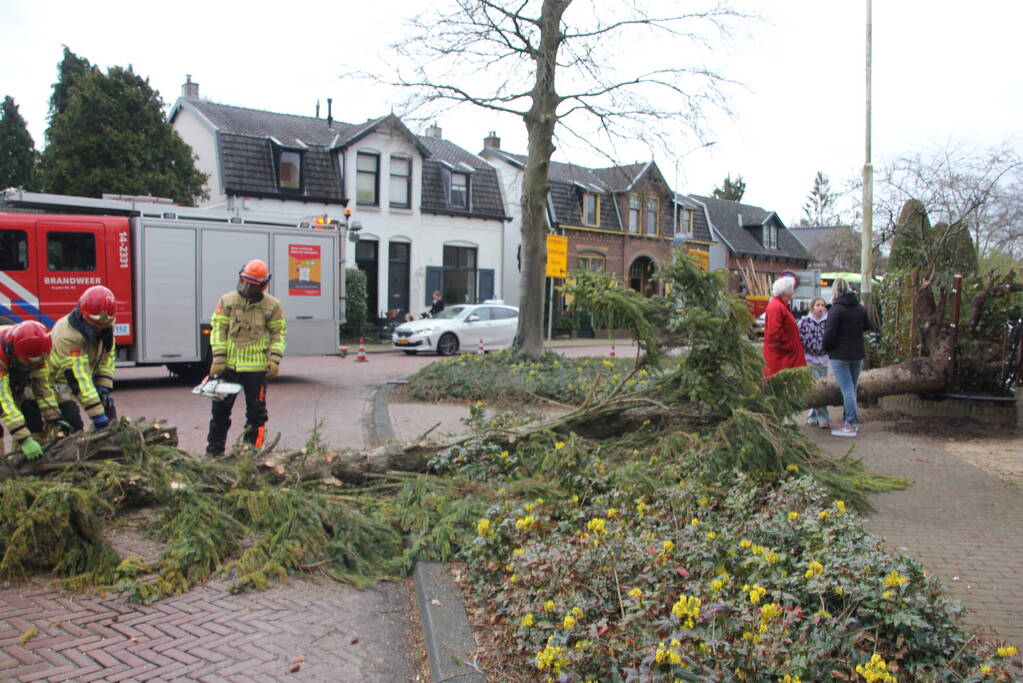 Boom valt vanuit voortuin over straat