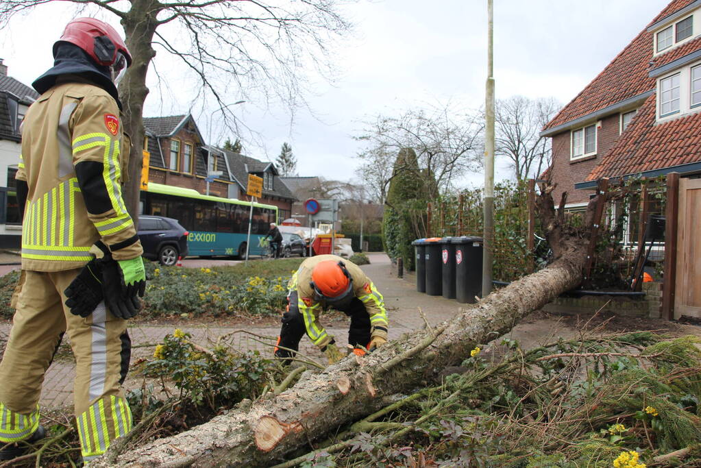 Boom valt vanuit voortuin over straat