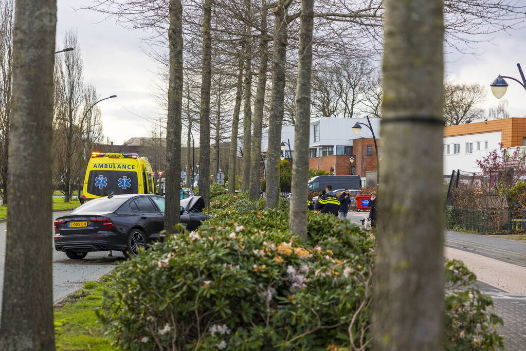 Auto vliegt uit de bocht en botst op boom