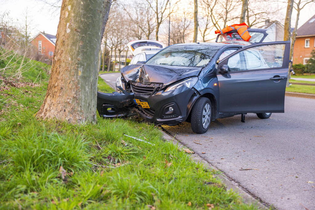 Automobilist botst tegen boom