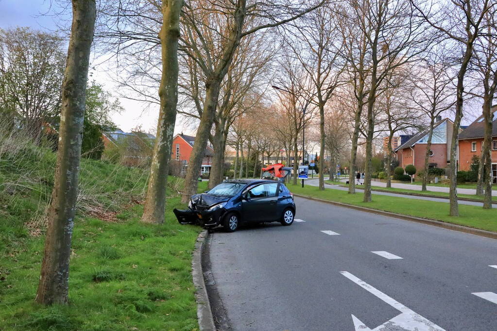 Automobilist botst tegen boom