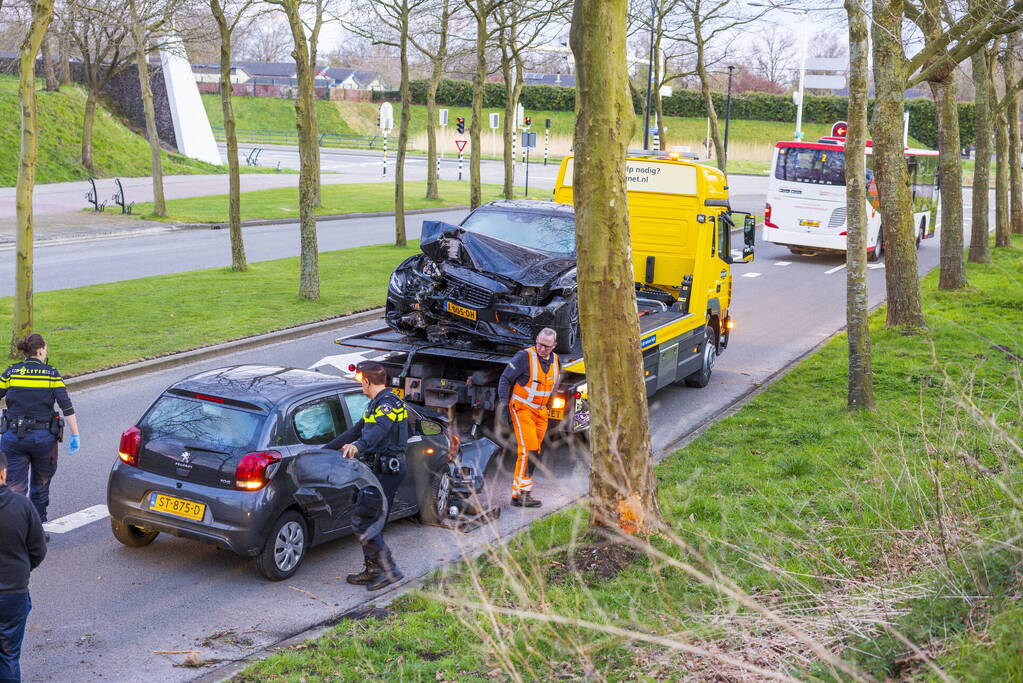 Automobilist botst tegen boom