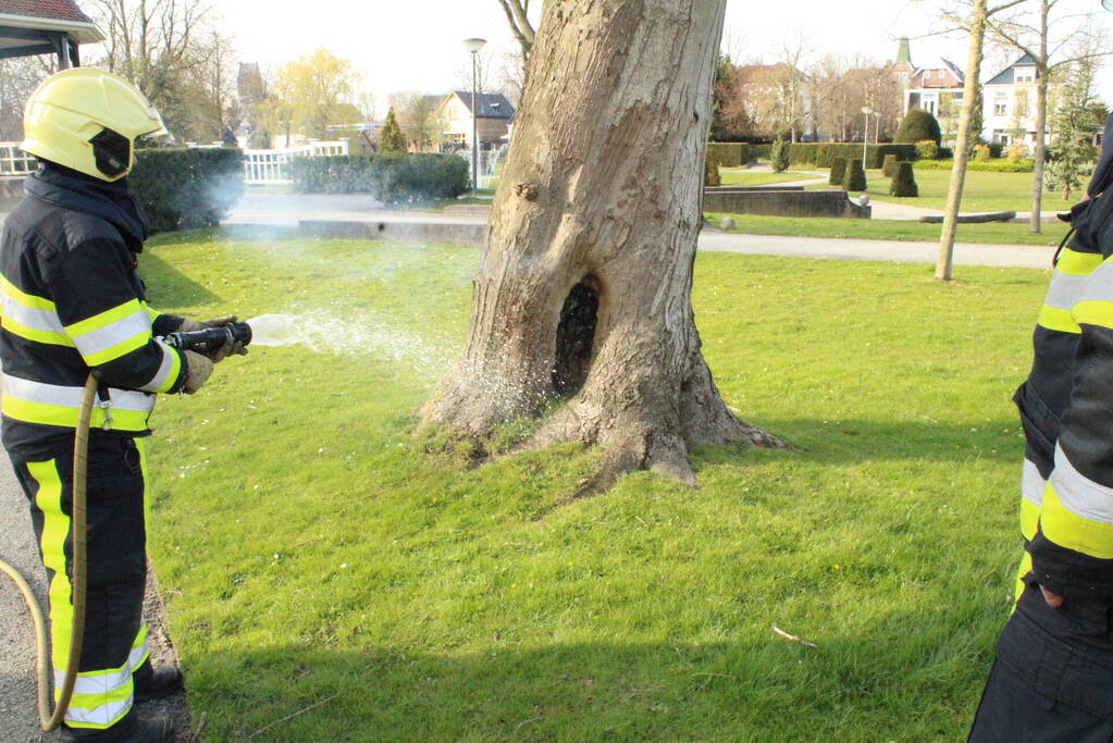 Brandweer blust brand binnenin boom