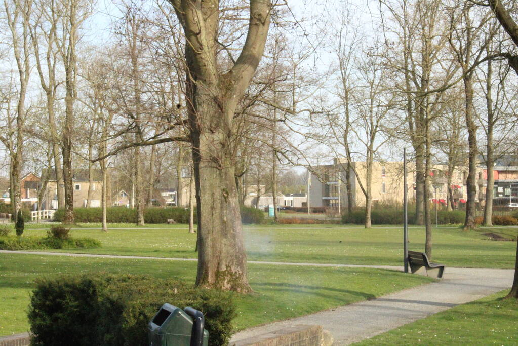 Brandweer blust brand binnenin boom