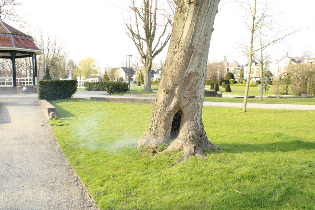 Brandweer blust brand binnenin boom