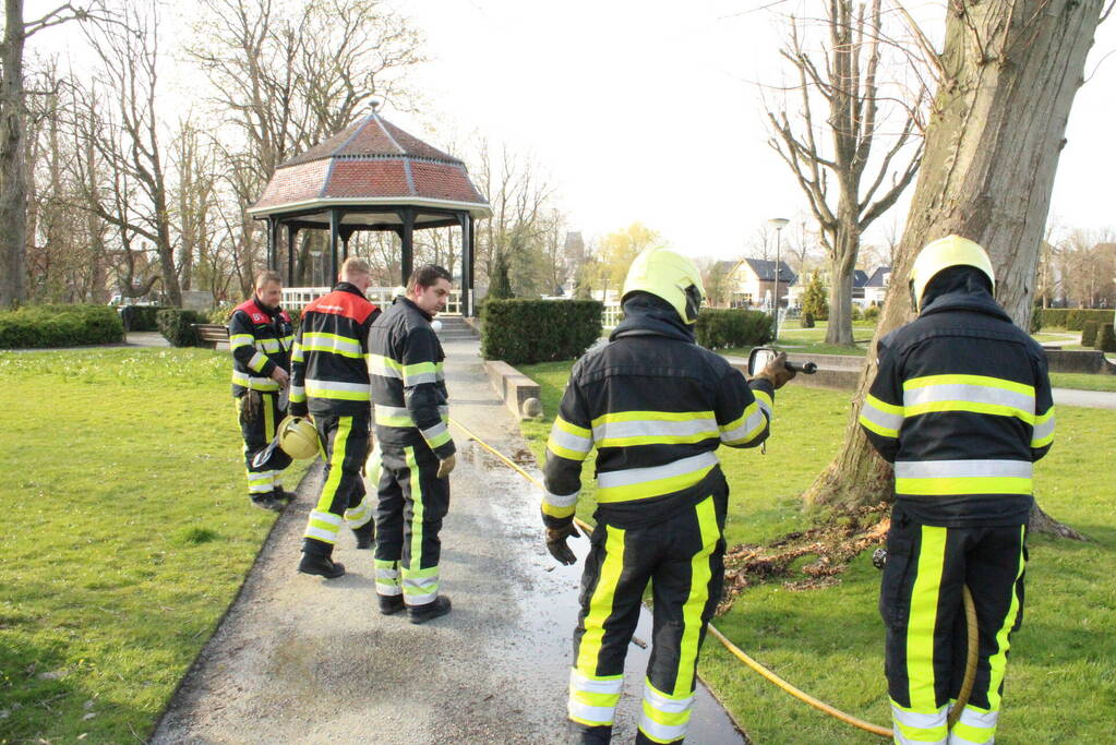 Brandweer blust brand binnenin boom