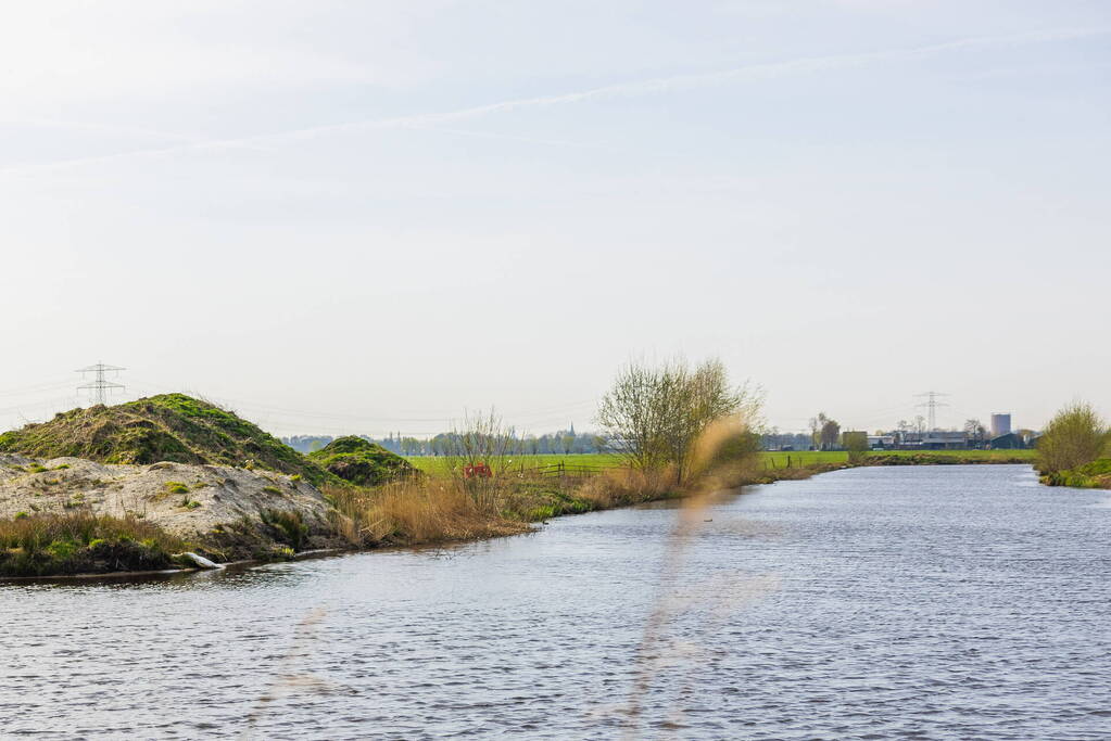 Dode zwaan aangetroffen in sloot Rengerswetering