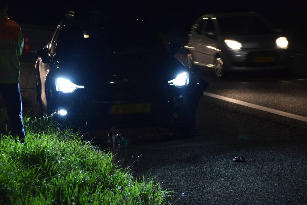 Overstekend wild overleden na ongeval