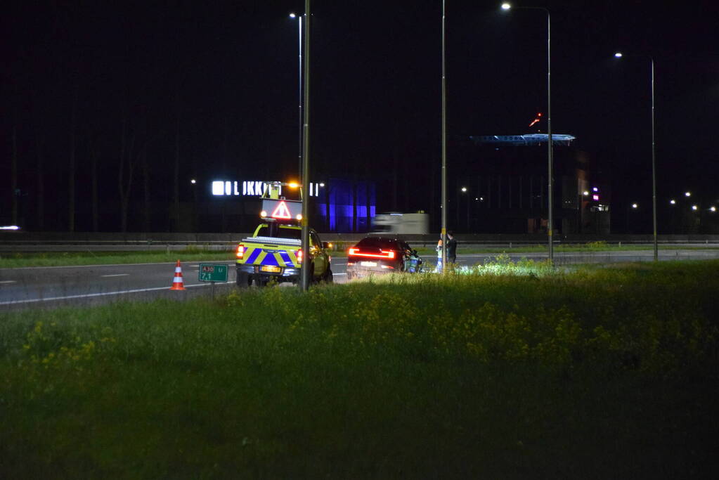 Overstekend wild overleden na ongeval