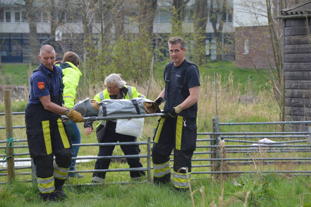 Ree door brandweer gered uit schiphuis
