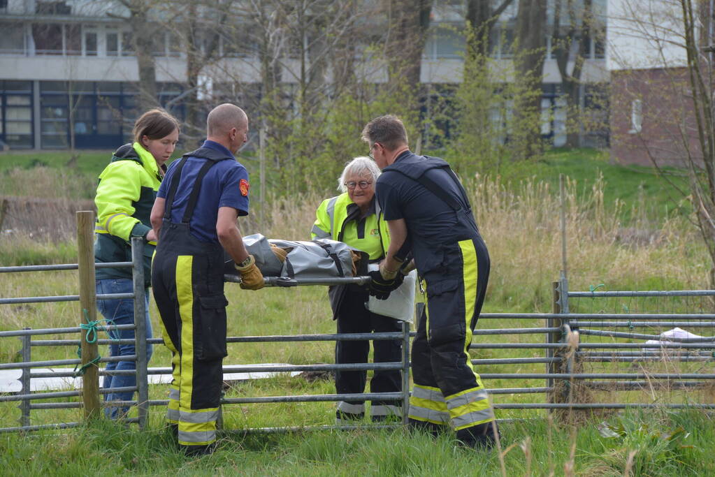 Ree door brandweer gered uit schiphuis