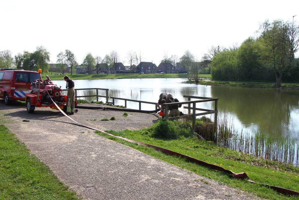 Vijver leeggepompt vanwege vissterfte