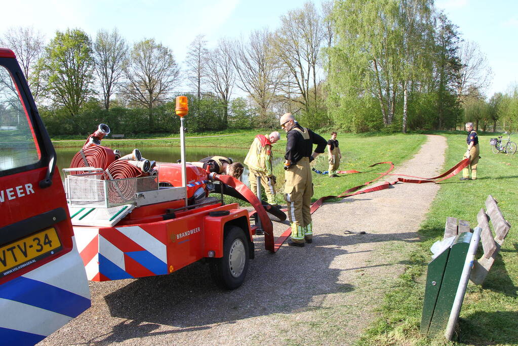 Vijver leeggepompt vanwege vissterfte