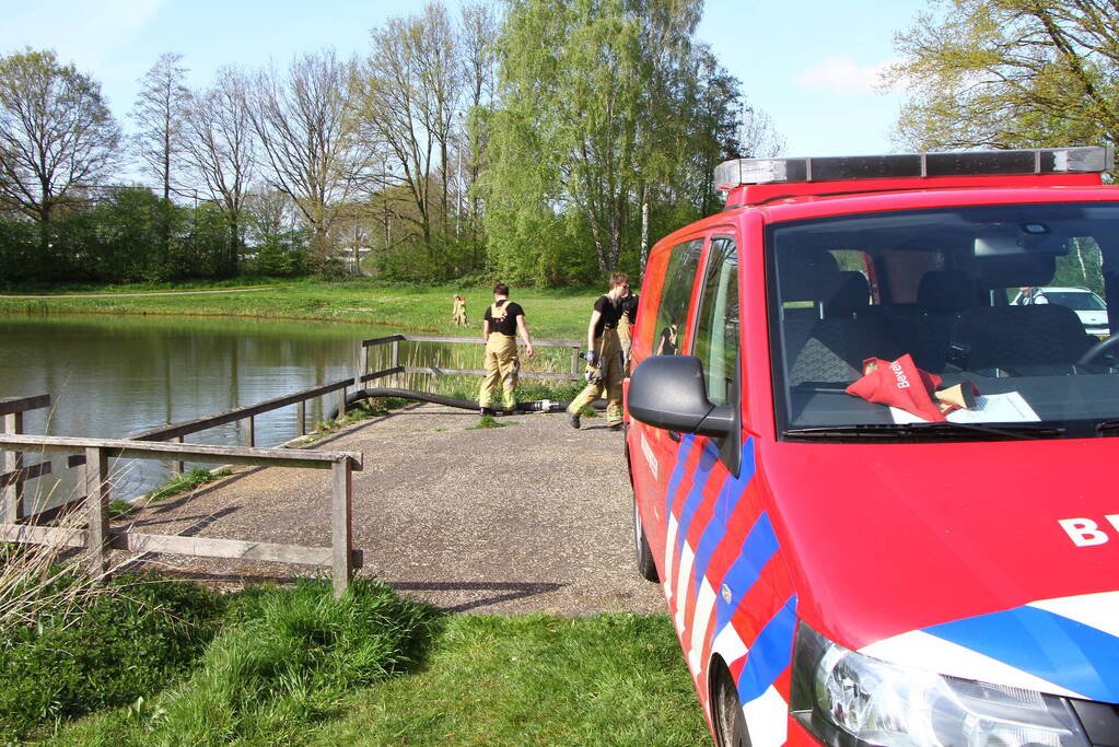 Vijver leeggepompt vanwege vissterfte