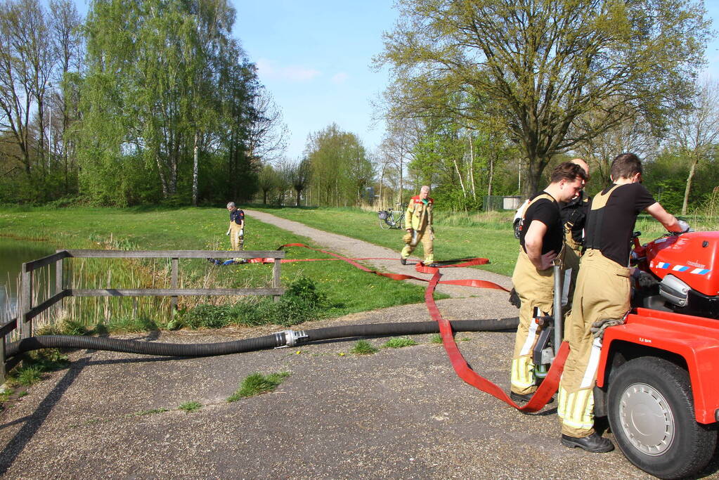 Vijver leeggepompt vanwege vissterfte