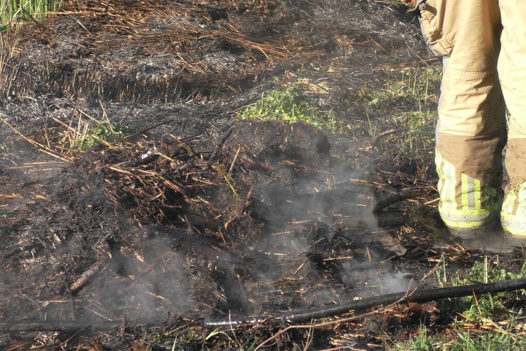 Flinke rookontwikkelingen bij natuurbrand