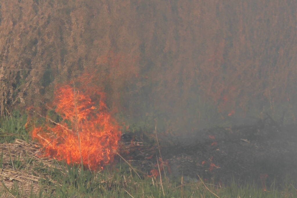 Flinke rookontwikkelingen bij natuurbrand