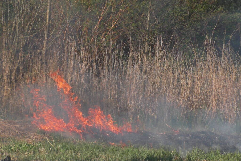 Flinke rookontwikkelingen bij natuurbrand
