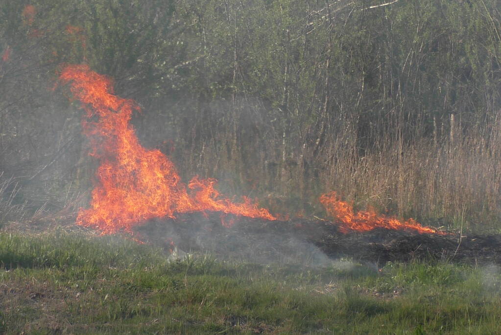 Flinke rookontwikkelingen bij natuurbrand