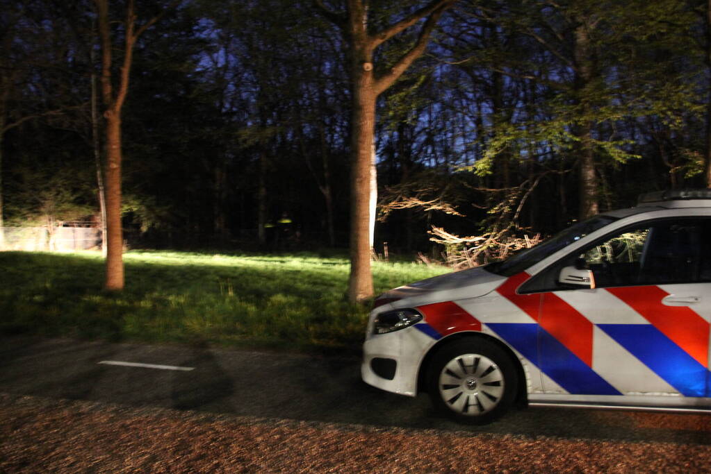 Zoekactie naar vermiste Serval kat