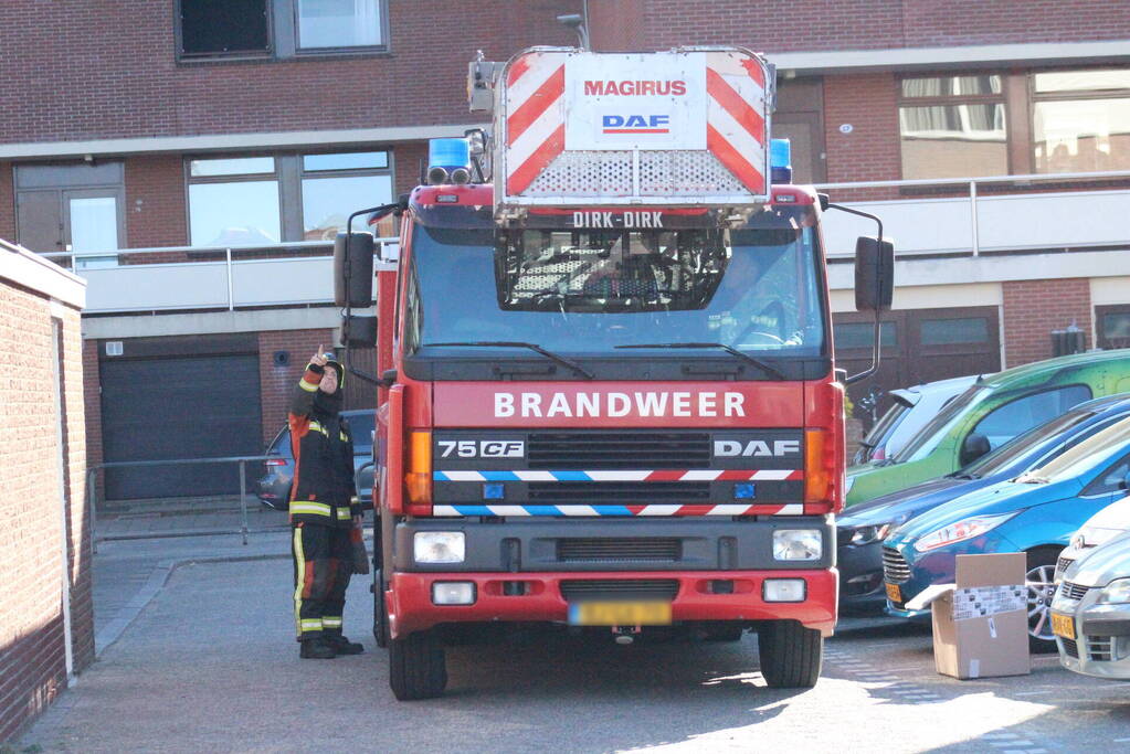 Meeuw vast aan zonnepanelen