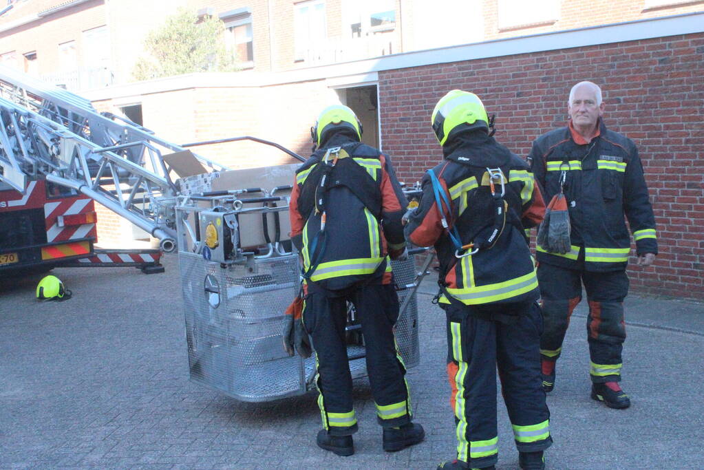 Meeuw vast aan zonnepanelen