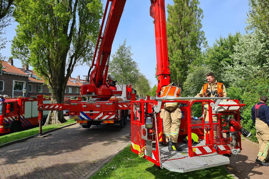 Brandweer haalt vastzittende kat uit boom