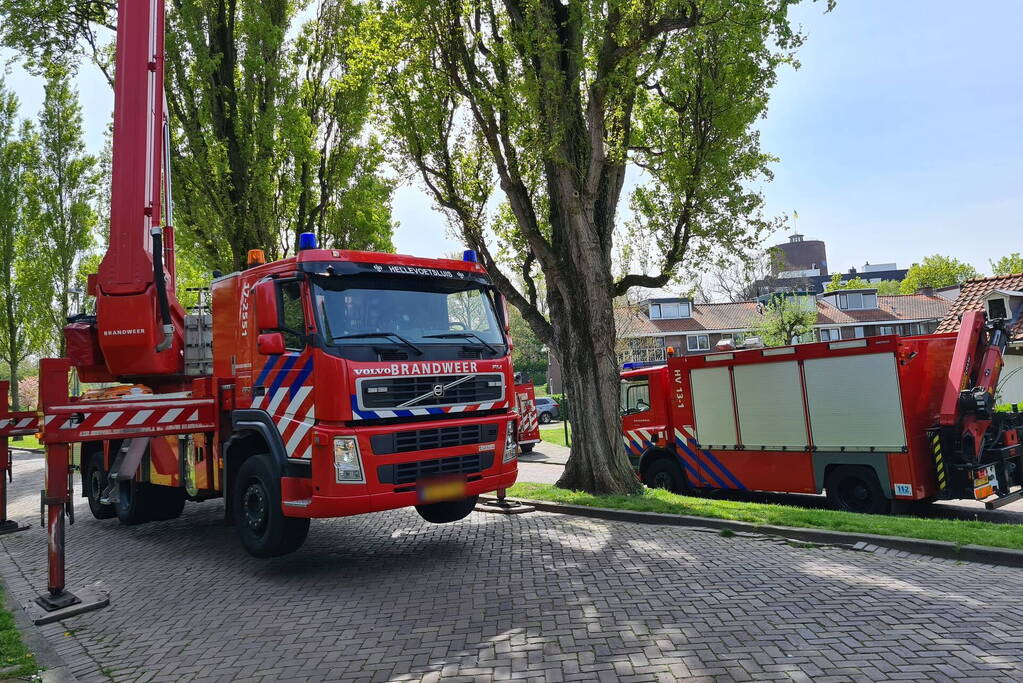 Brandweer haalt vastzittende kat uit boom