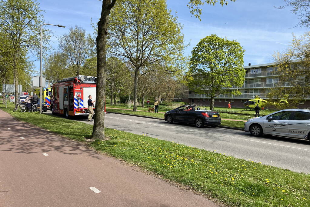 Automobilist botsen frontaal op boom