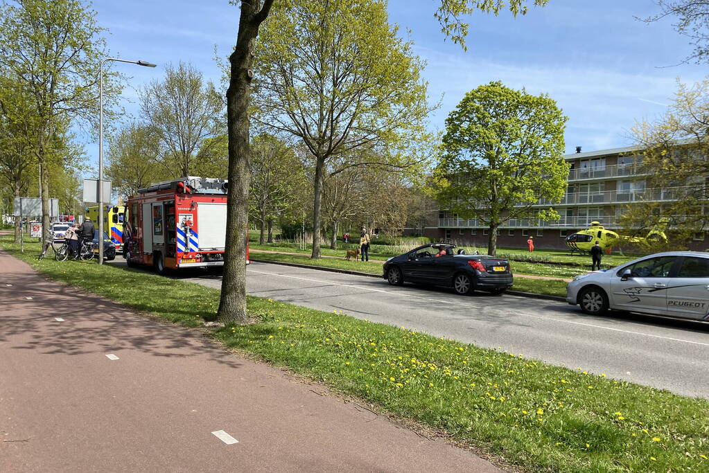 Automobilist botsen frontaal op boom