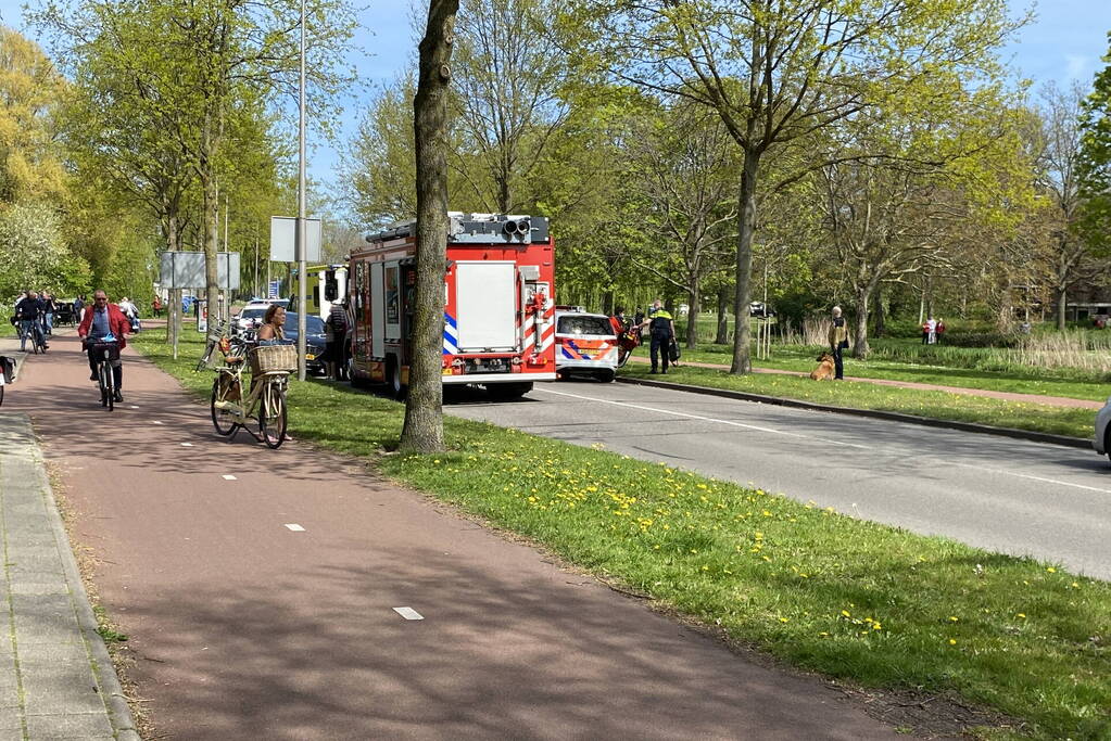 Automobilist botsen frontaal op boom