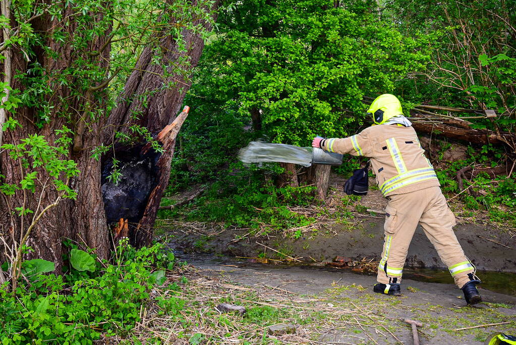 Brandweer blust brandende boom