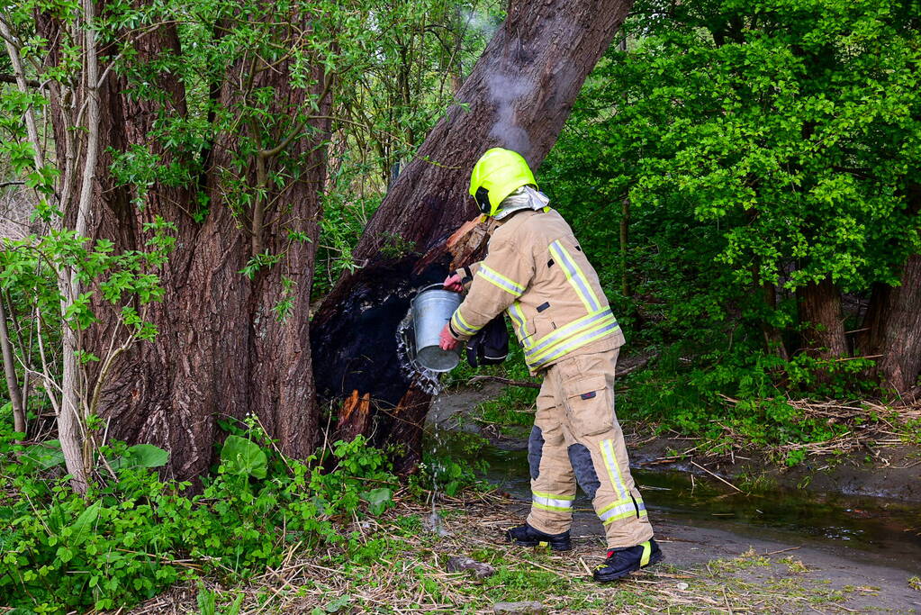Brandweer blust brandende boom