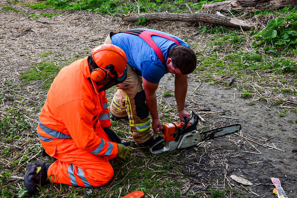 Brandweer blust brandende boom