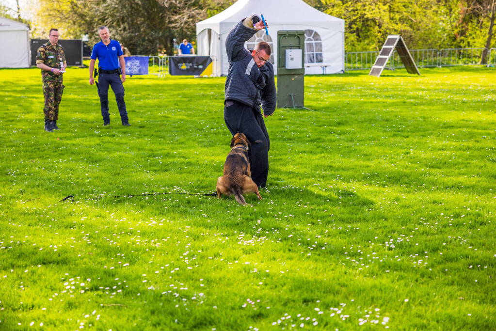 Prins Harry aanwezig tijdens vierde dag Invictus Games