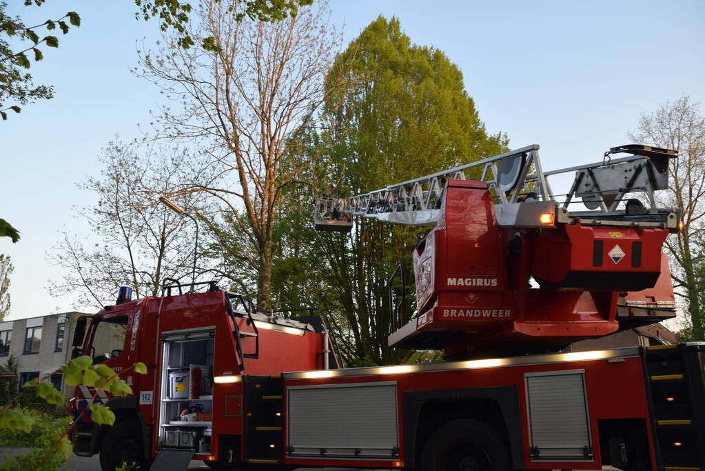 Gevaarlijk hangende tak uit boom gehaald