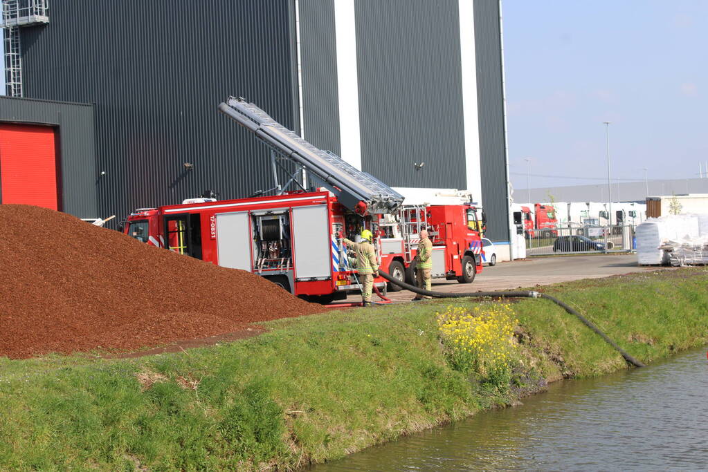 Broei in berg met potgrond