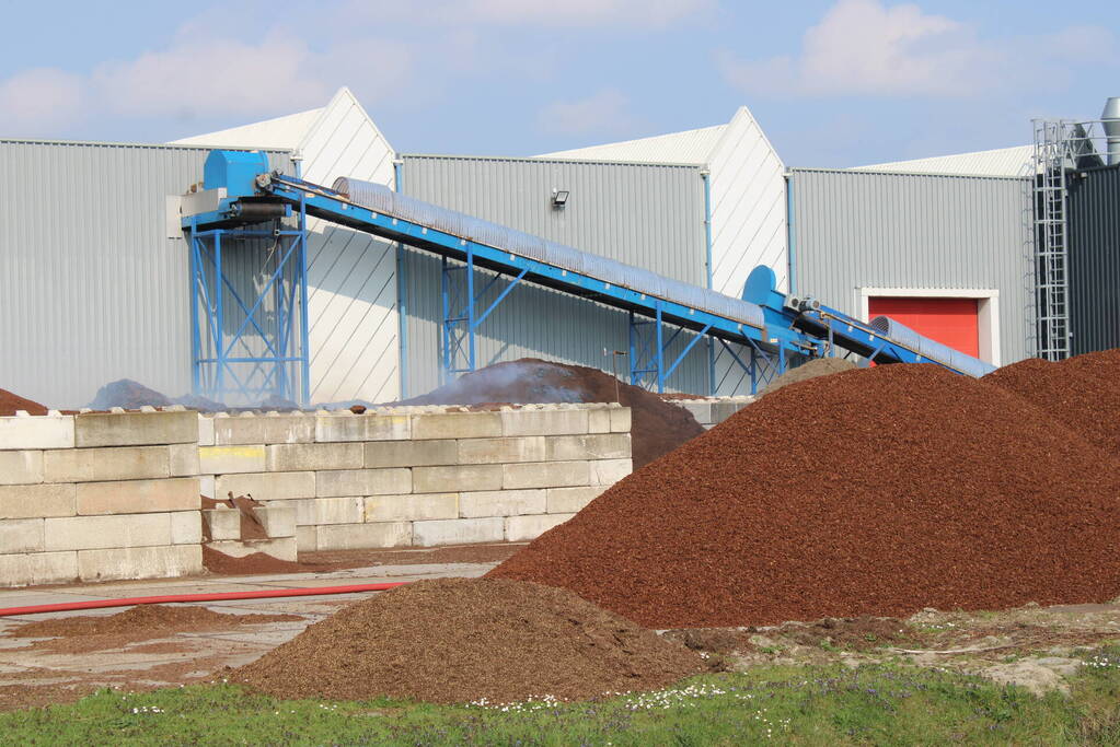 Broei in berg met potgrond