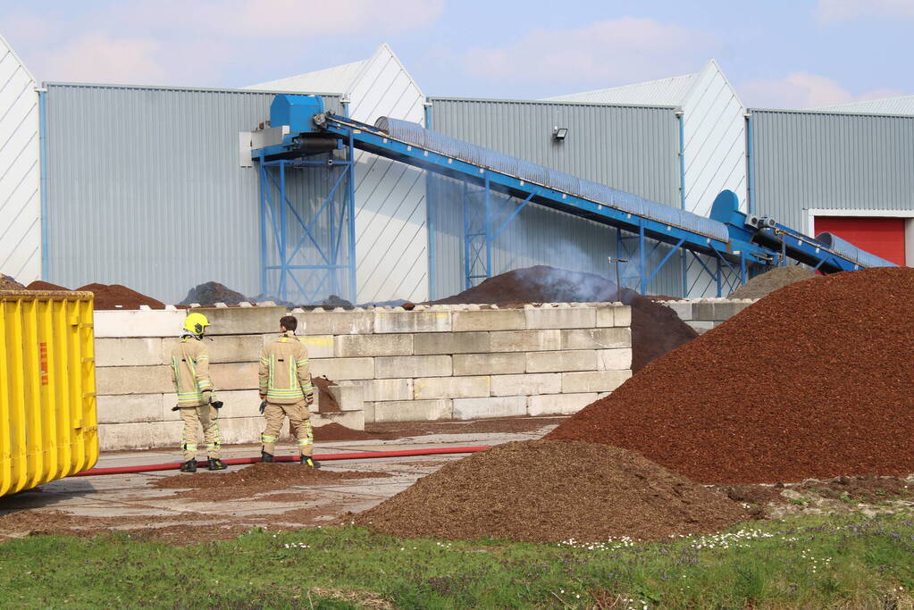 Broei in berg met potgrond