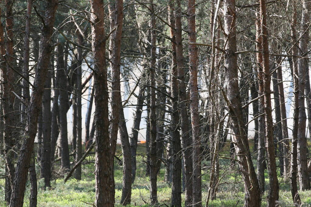 Grote brand in natuurgebied