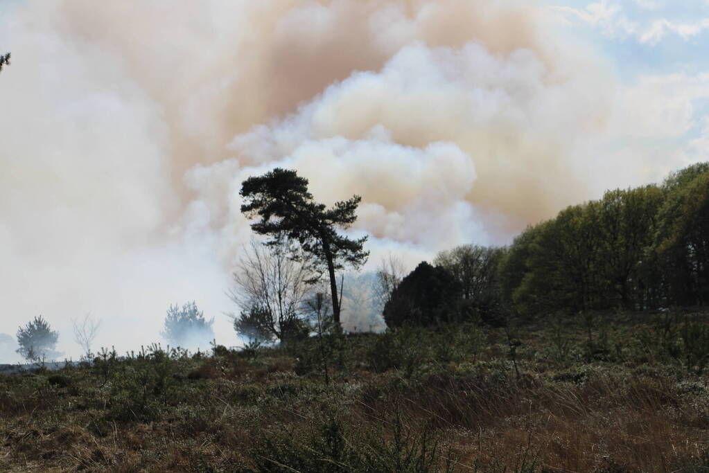 Grote brand in natuurgebied
