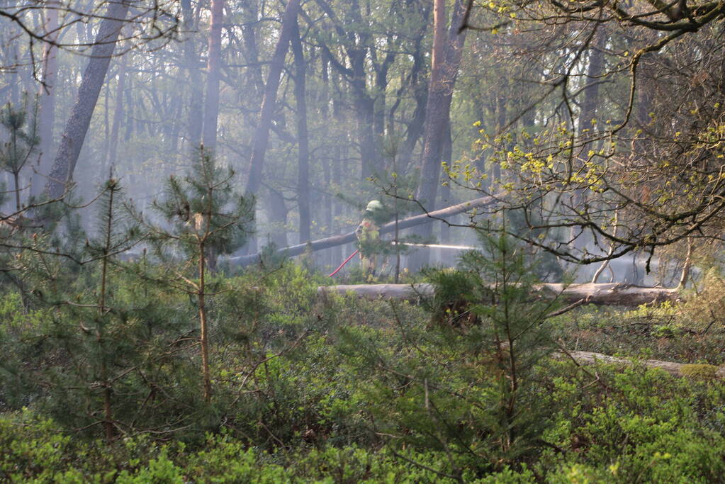 Grote brand in natuurgebied