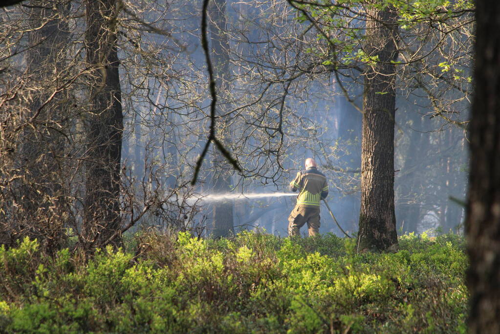 Grote brand in natuurgebied