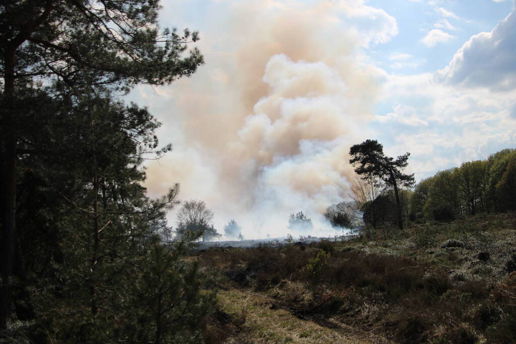 Grote brand in natuurgebied
