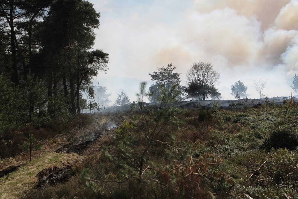 Grote brand in natuurgebied