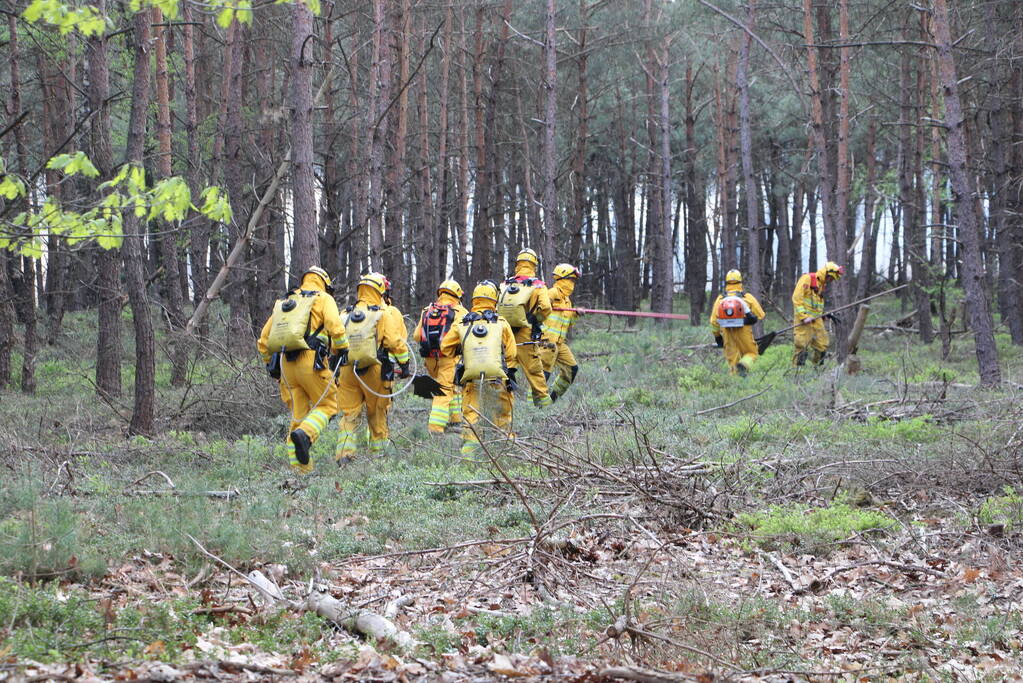 Grote brand in natuurgebied