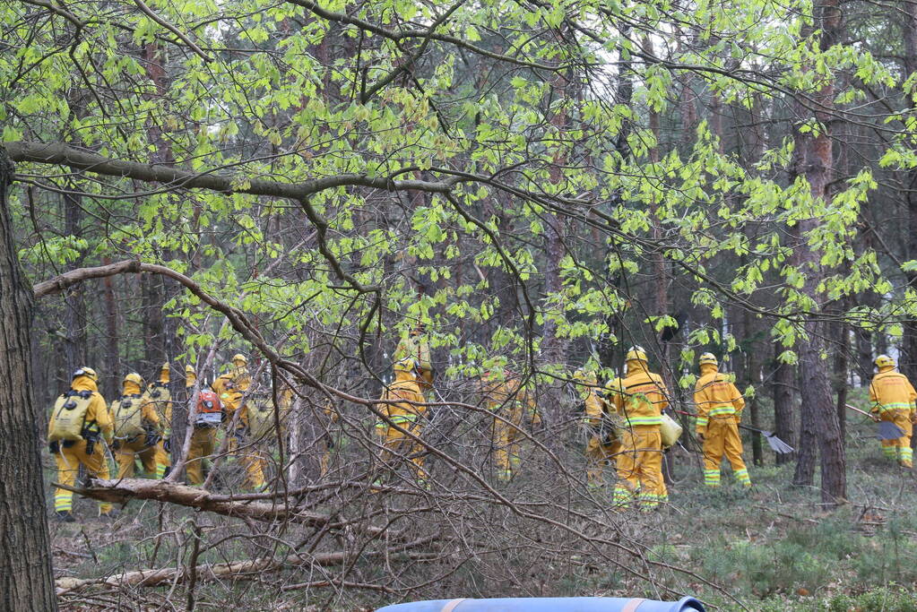 Grote brand in natuurgebied