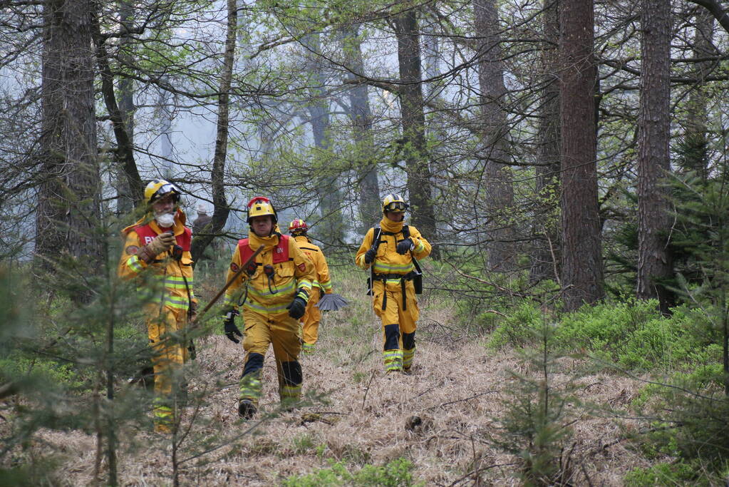 Grote brand in natuurgebied