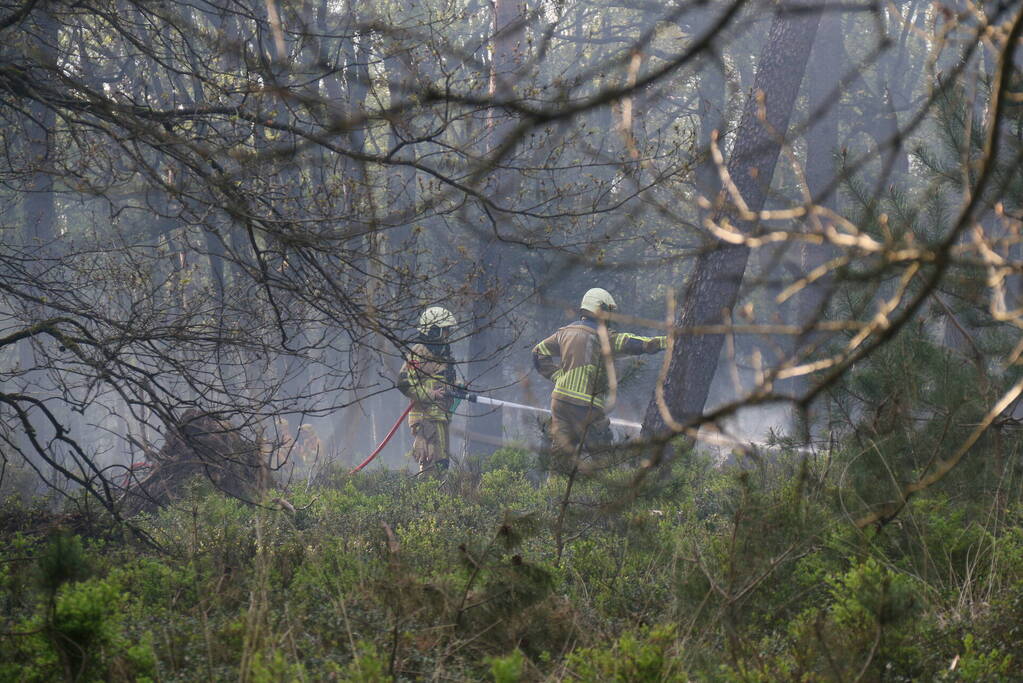 Grote brand in natuurgebied